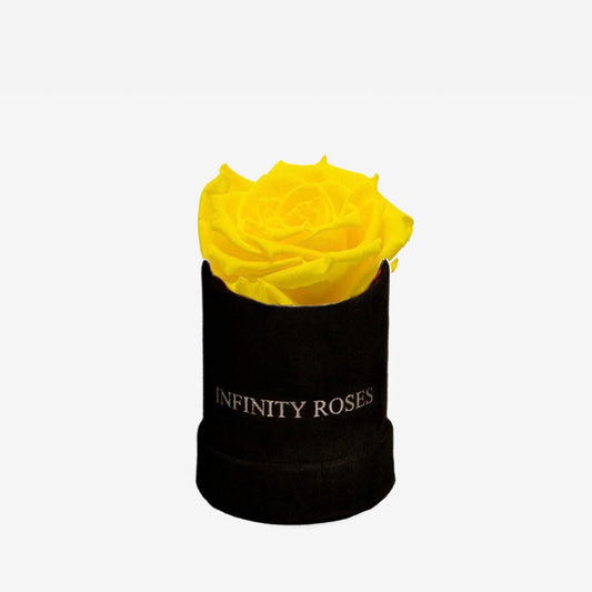 MINI LEMON ROSE