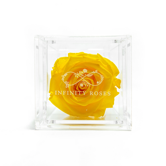 CAIXETA | LEMON ROSE